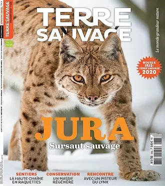 Terre Sauvage N°383 – Décembre 2020 [Magazines]