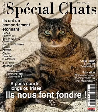 Spécial Chats N°49 – Octobre-Décembre 2020 [Magazines]
