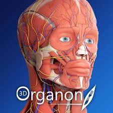 3D Organon Anatomy 3.0.0