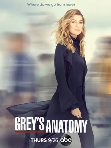 Grey's Anatomy - Saison 16 - VOSTFR HD